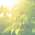 コンセプト