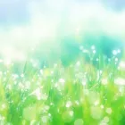 幸運